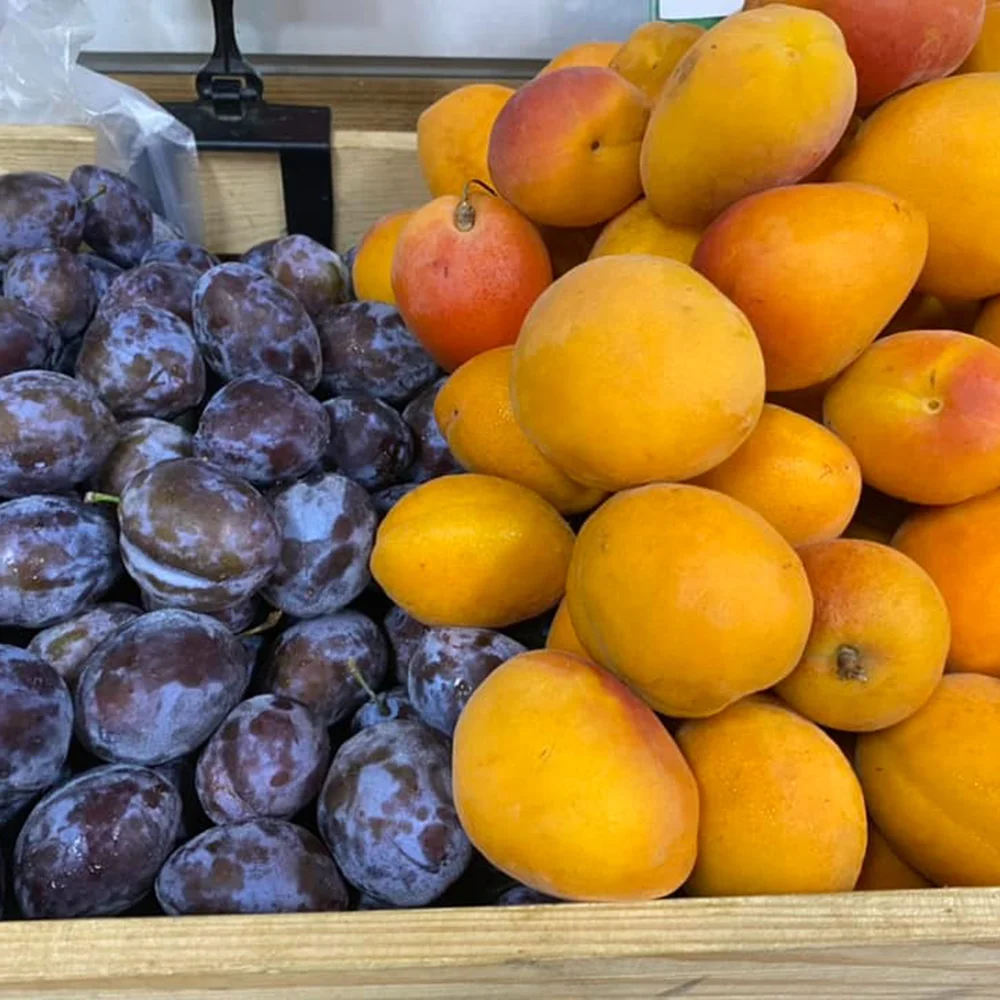 Vitamine und Geschmack