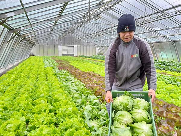 Bio-Hofladen in Ludesch