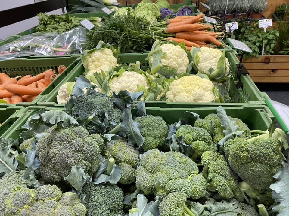 Bio-Kartoffeln und Bio-Gemüse in Ludesch, Vorarlberg