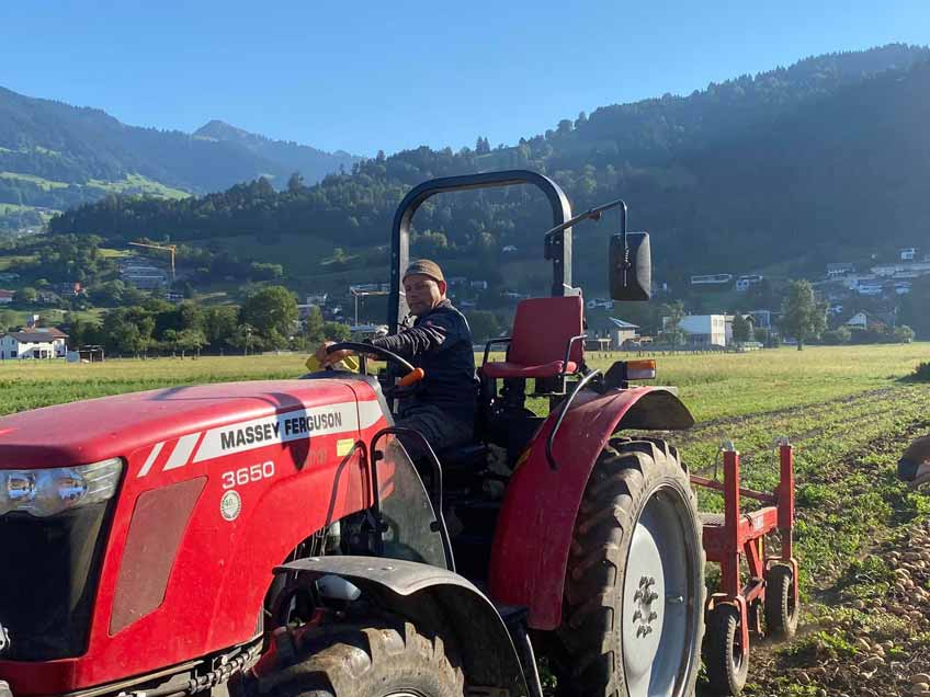 Biohof für Gemüse in in Feldkirch, Vorarlberg