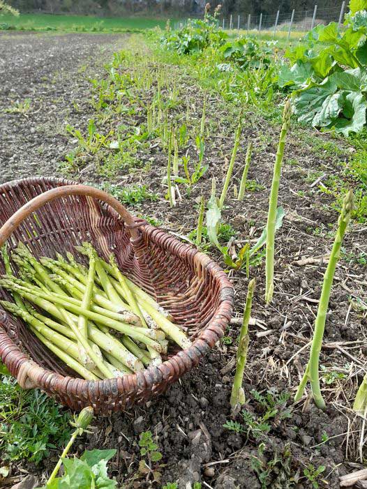 Bioprodukte in Ludesch